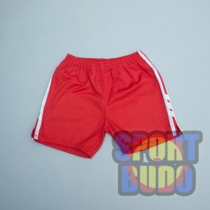 Шорты самбо "Фируз" красные Шорты самбо "Фируз" красные